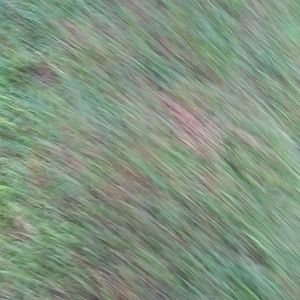 Meet your Posher, Rodney